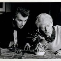 Miller in 'The Wrong Side Of The Park' - Castle Theatre, Farnham